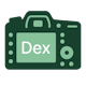 RealDex