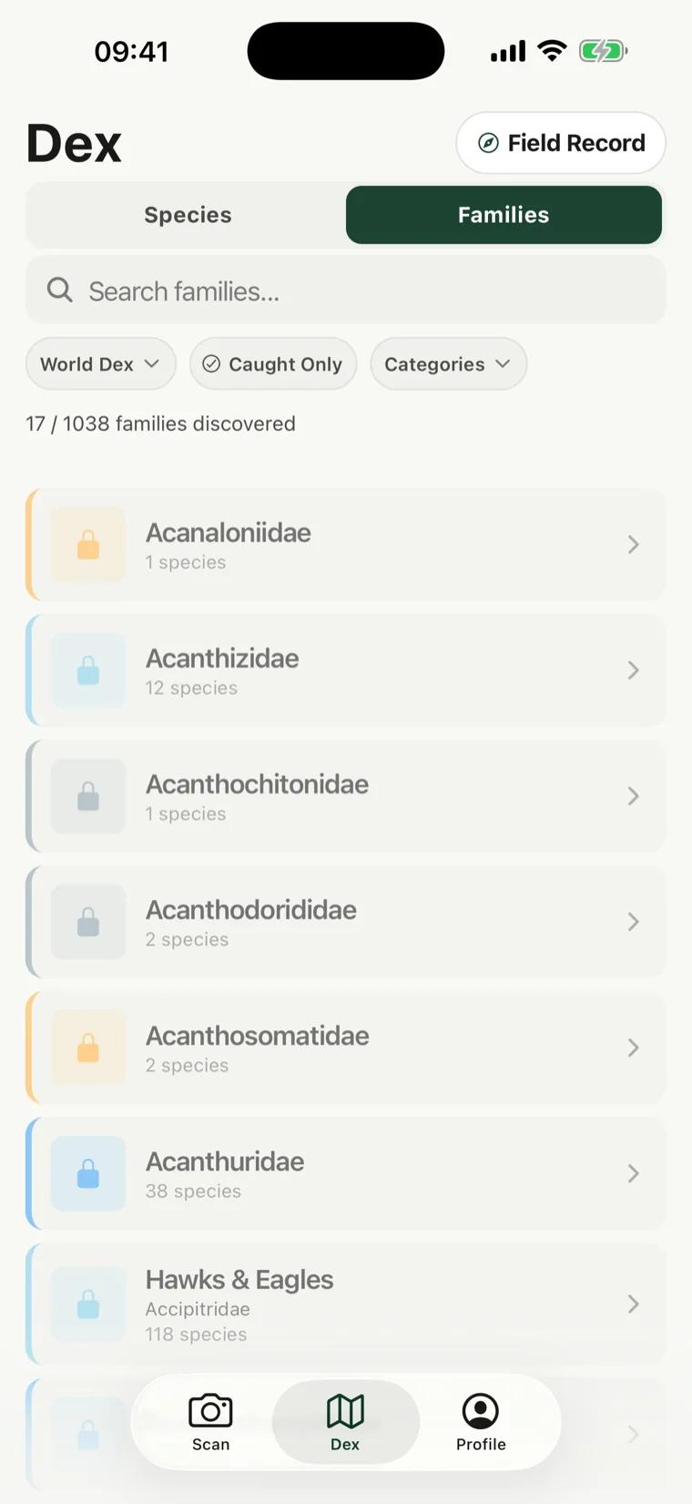 La pestaña Familias en RealDex mostrando 17 de 1038 familias descubiertas, con familias como Acanthizidae y Halcones y Águilas junto con su número de especies.