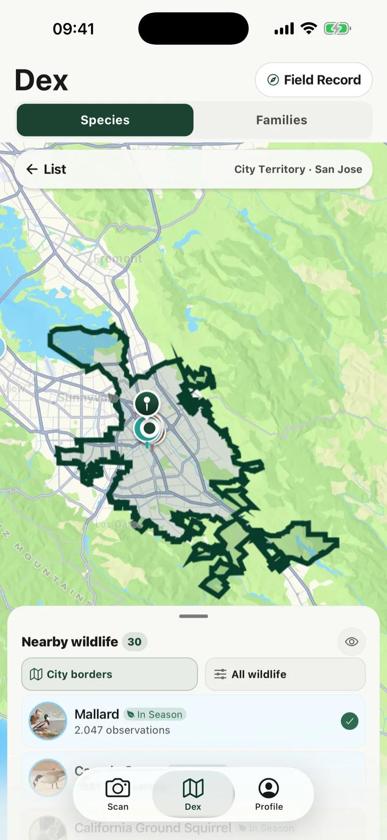 Un mapa de San Jose en RealDex con el límite real de la ciudad dibujado sobre él y marcadores de avistamiento agrupados dentro de la frontera.